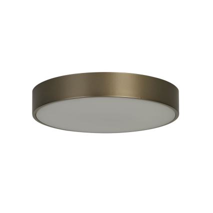 Searchlight - LED stropné svietidlo PALMA LED/12W/230V 3000K priemer 25 cm bronzové
