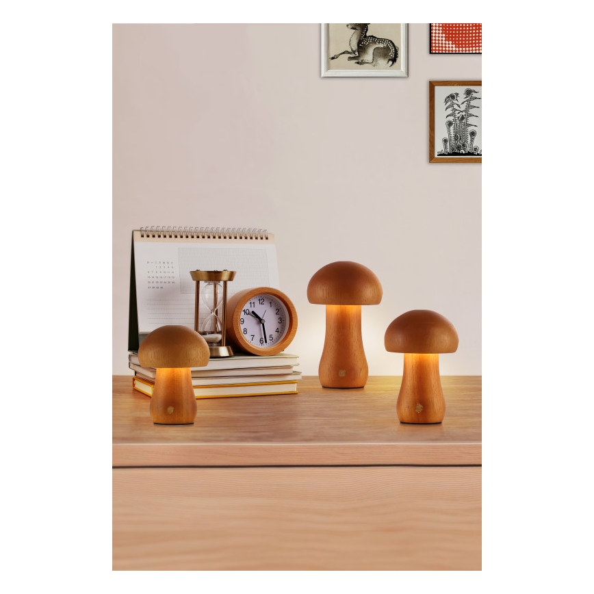 Searchlight - Súprava 3x LED stolných lámp MUSHROOM LED/1,1W/5V 800 mAh