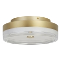 Searchlight - LED Stropné svietidlo CYPRUS LED/29W/230V pr. 40 cm zlaté