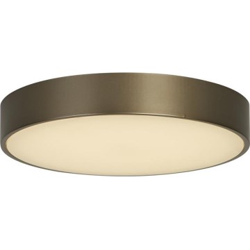 Searchlight - LED stropné svietidlo PALMA LED/12W/230V 3000K priemer 25 cm bronzové