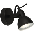 Searchlight - Nástenné bodové svietidlo FOCUS 1xGU10/50W/230V čierna