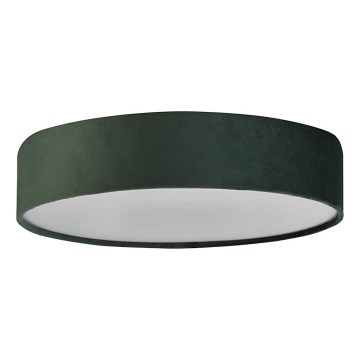 Searchlight - Stropné svietidlo DRUM 3xE27/60W/230V zelené
