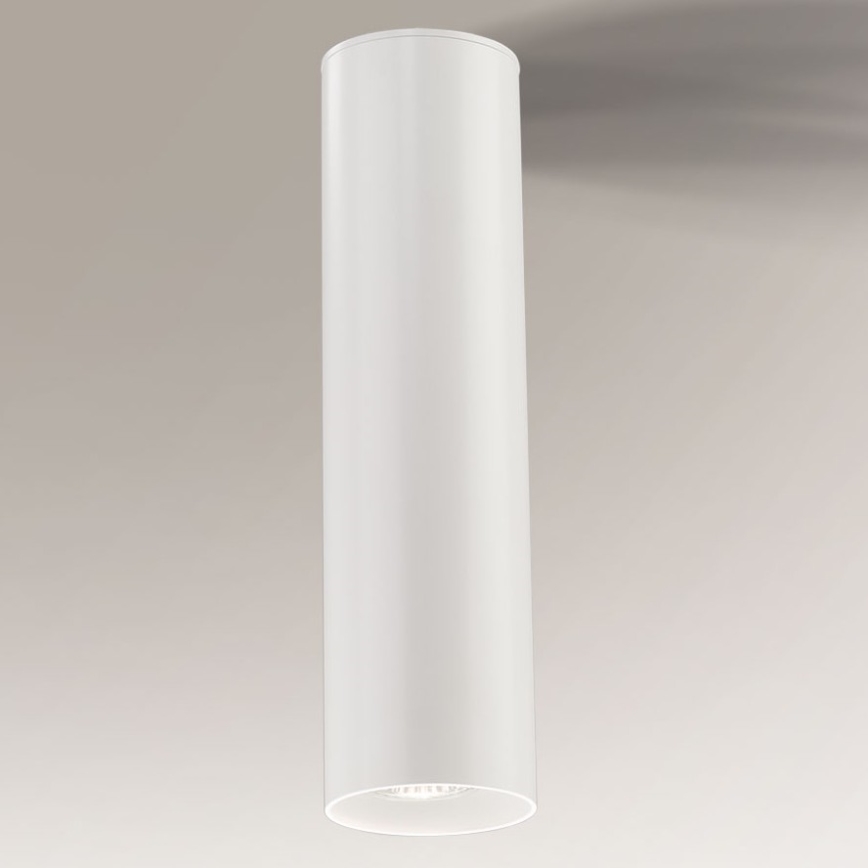 Shilo - Stropné svietidlo 1xGU10/15W/230V biela