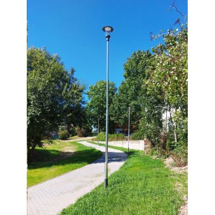 Sinclair - LED Pouličná lampa LED/35W/230V 2700K IK10 IP66 astroDIM