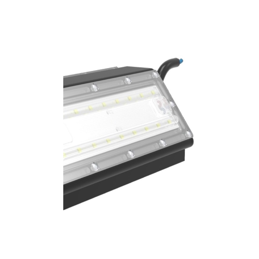 Sinclair - LED Reflektor pre vínne pivnice LED/30W/230V 2700K IK10 IP66