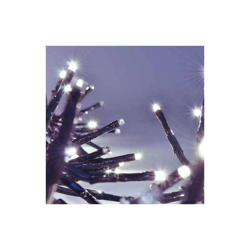 Svetlá svietia na tmavom pozadí. Čierne káble s malými bielymi LED diódami vyžarujú svetlo. Svetelná dekorácia je zblízka.