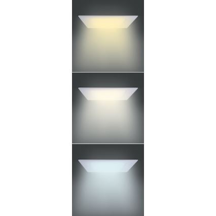 LED panel LED/12W/230V 3000/4000/6000K 17x17 cm biela