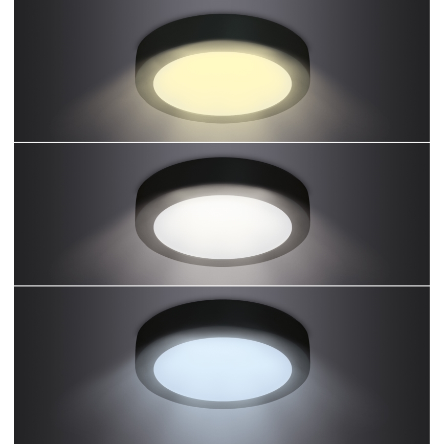 LED Stropné svietidlo LED/12W/230V 3000/4000/6000K čierna okrúhly