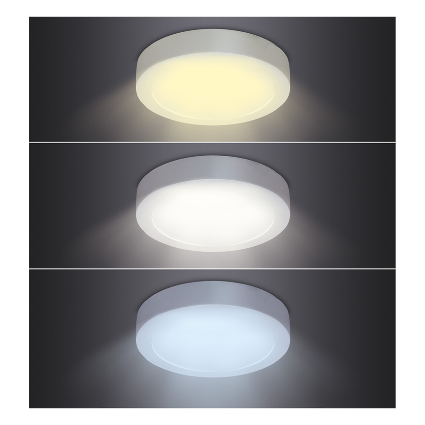 LED stropné svietidlo LED/12W/230V 3000/4000/6000K priemer 17 cm biele