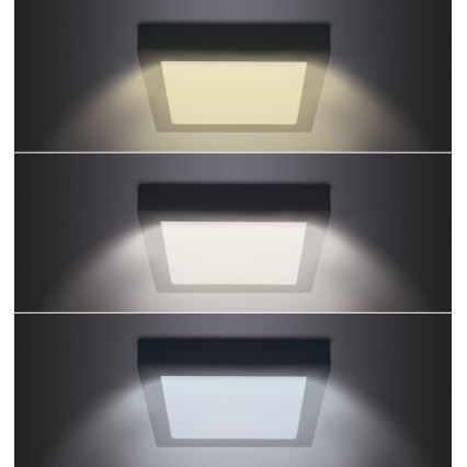 LED Stropné svietidlo LED/12W/230V 3000/4000/6000K čierna hranatý