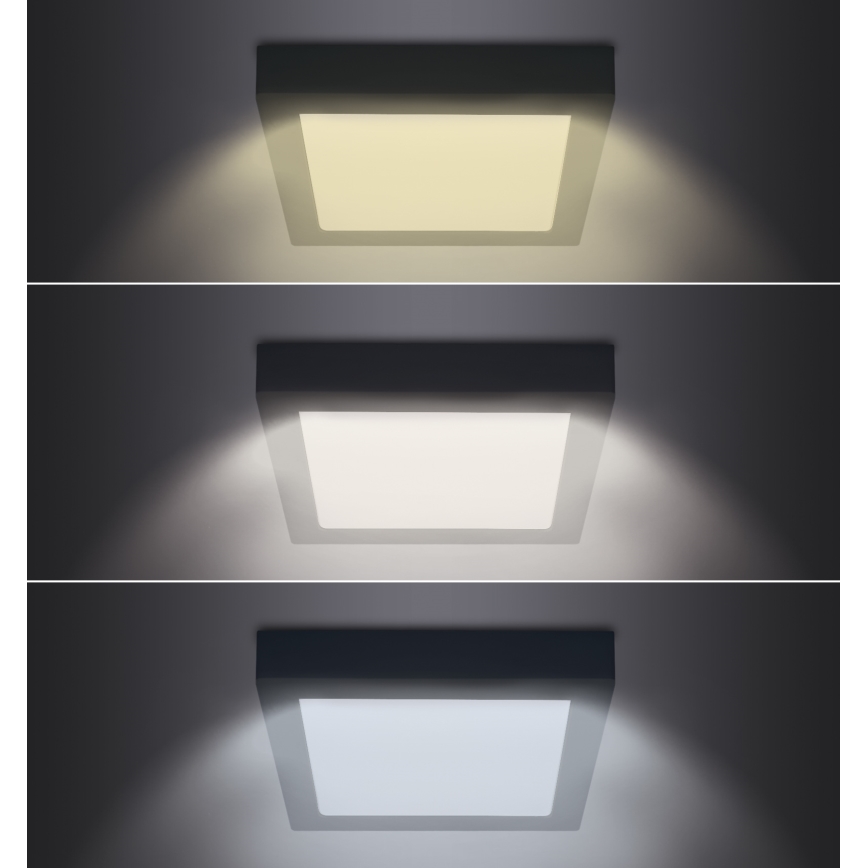 LED Stropné svietidlo LED/12W/230V 3000/4000/6000K čierna hranatý