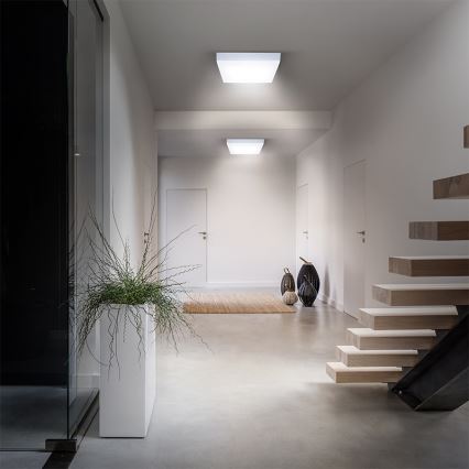 LED stropné svietidlo LED/24W/230V 3000/4000/6000K 30x30 cm biela