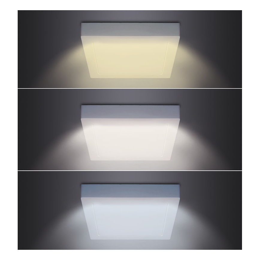 LED stropné svietidlo LED/24W/230V 3000/4000/6000K 30x30 cm biela
