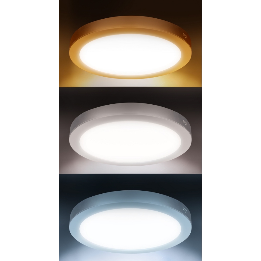 LED Prisadený/podhľadový panel 2v1 18W/230V 3000/4000/6000K pr.22,5 cm IP54 biela