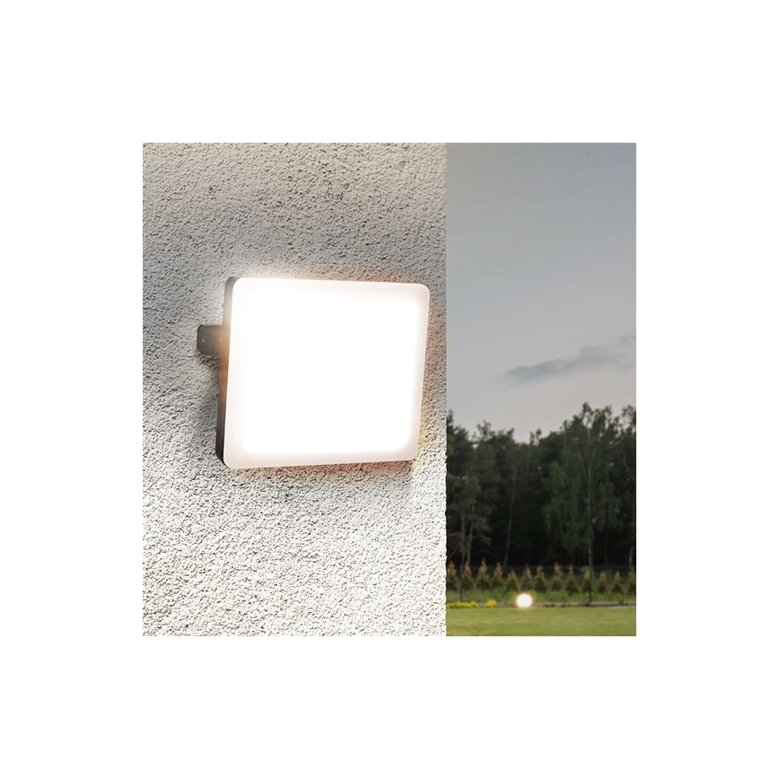 LED Vonkajší reflektor LED/30W/230V 4000K IP65