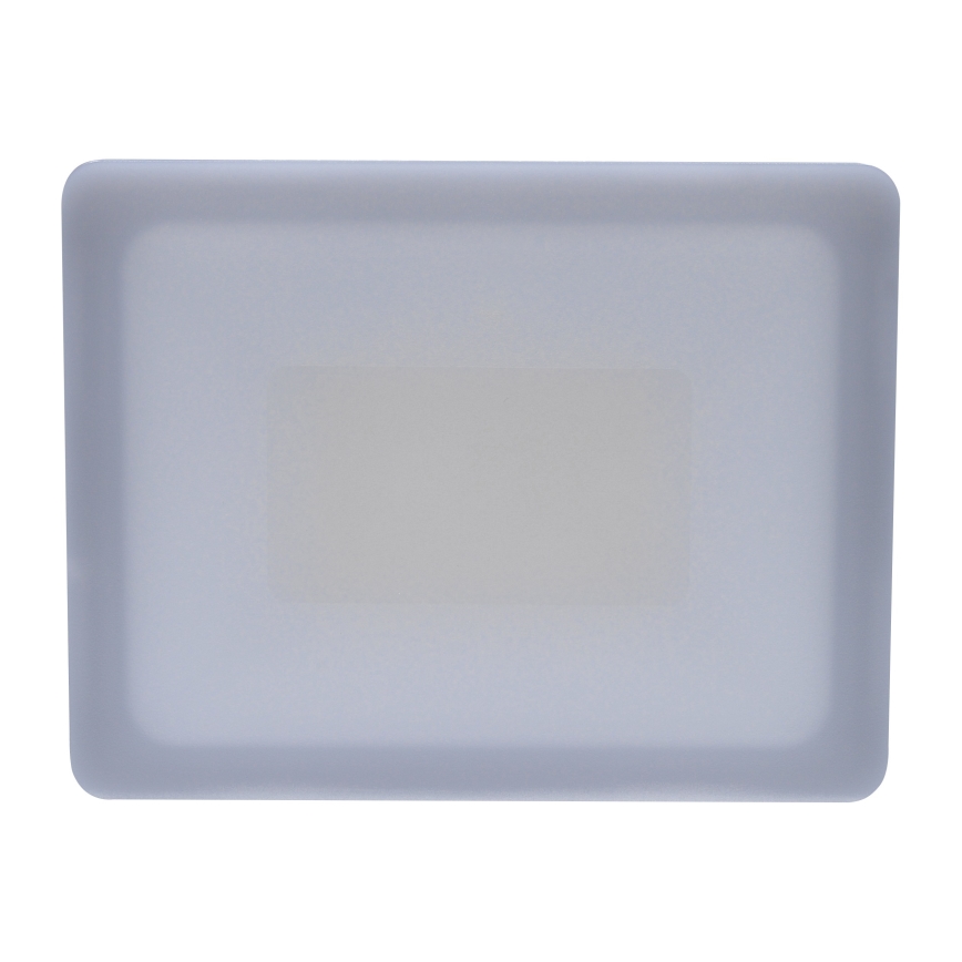 LED Vonkajší reflektor LED/30W/230V 4000K IP65