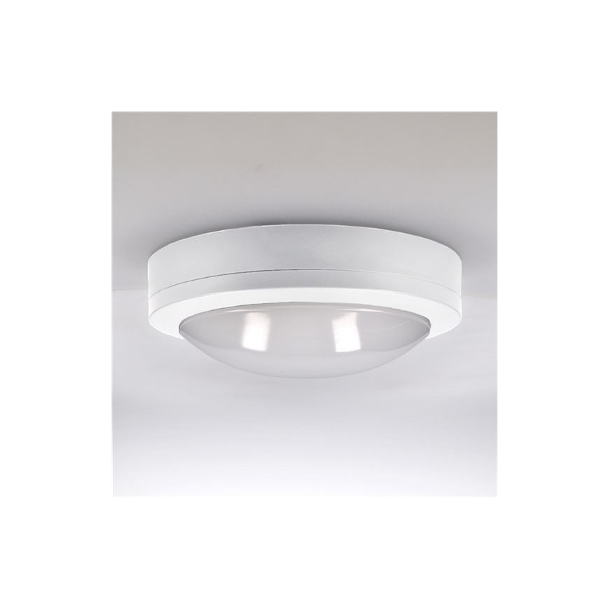 LED Vonkajšie stropné svietidlo SIENA LED/13W/230V IP54 pr. 17 cm biela