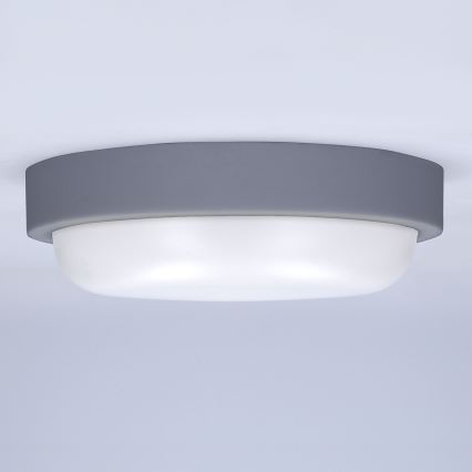 LED Vonkajšie nástenné svietidlo LED/20W/230V 4000K IP54 šedá guľatý