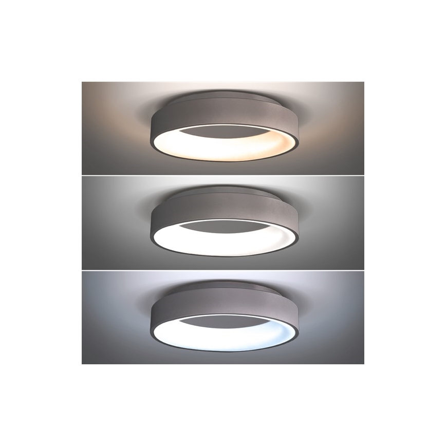 LED Stmievateľné stropné svietidlo TREVISO LED/48W/230V + diaľkové ovládanie