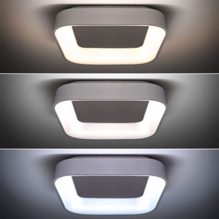 LED Stmievateľné stropné svietidlo LED/48W/230V + diaľkové ovládanie