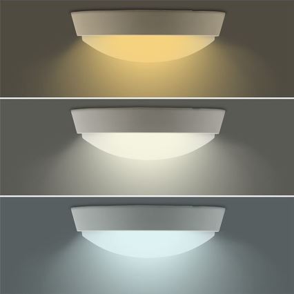 LED Vonkajšie svietidlo 2v1 LED/12W/230V IP54