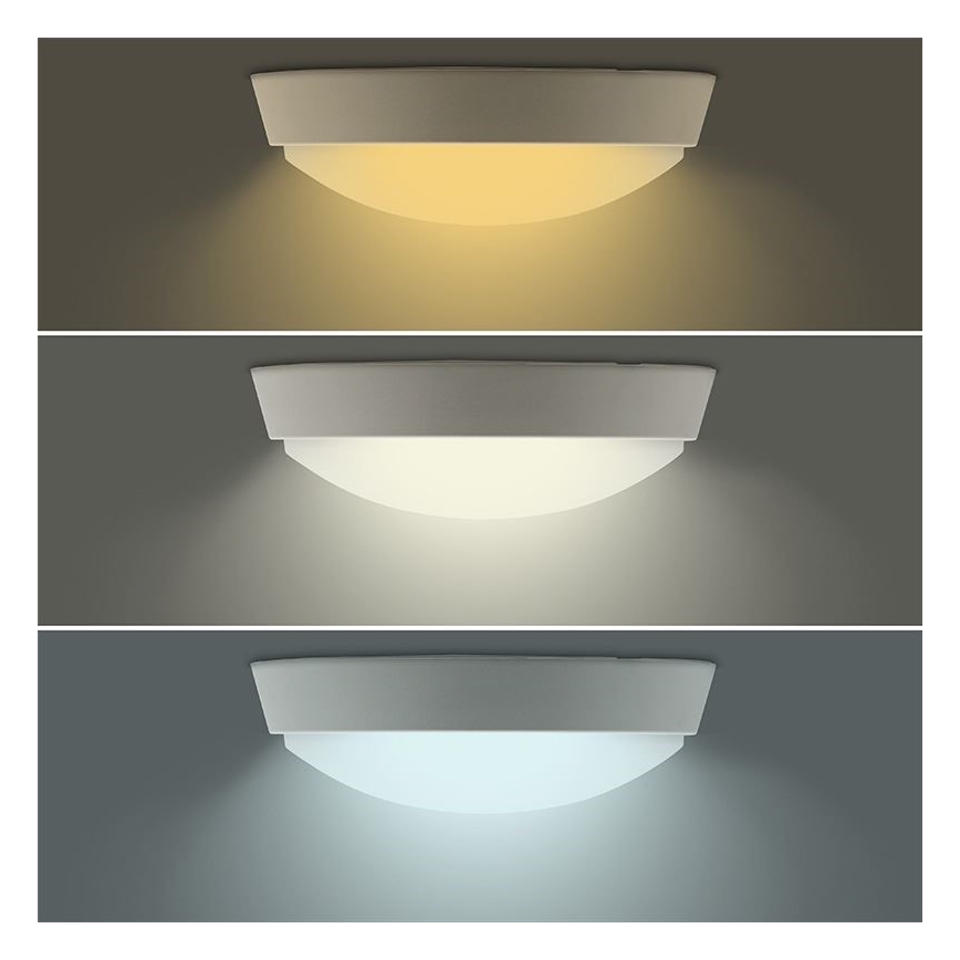 LED Vonkajšie svietidlo 2v1 LED/12W/230V IP54