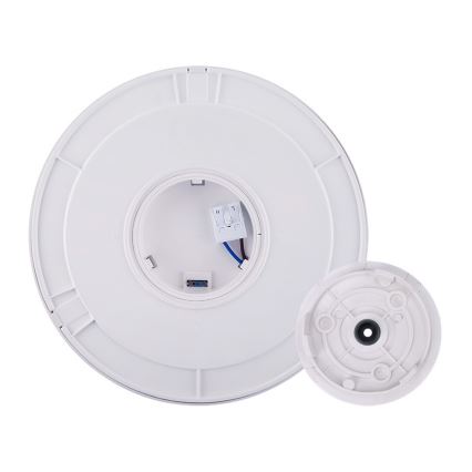 LED Vonkajšie svietidlo 2v1 LED/12W/230V IP54