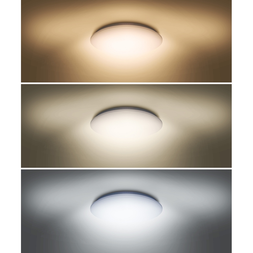 LED Stropné svietidlo PLAIN LED/36W/230V 3000/4000/6000K okrúhly