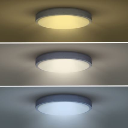 LED Stmievateľné stropné svietidlo GREY LED/60W/230V 3000-6500K šedá pr. 49 cm + diaľkové ovládanie