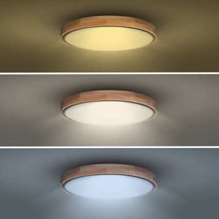 LED Stmievateľné stropné svietidlo IRON OAK LED/48W/230V 3000-6500K hnedá pr. 40 cm + diaľkové ovládanie
