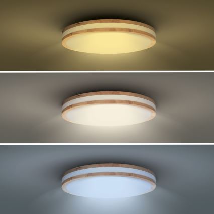 LED Stmievateľné stropné svietidlo WOODY LED/60W/230V 3000-6500K dub pr. 50 cm + diaľkové ovládanie