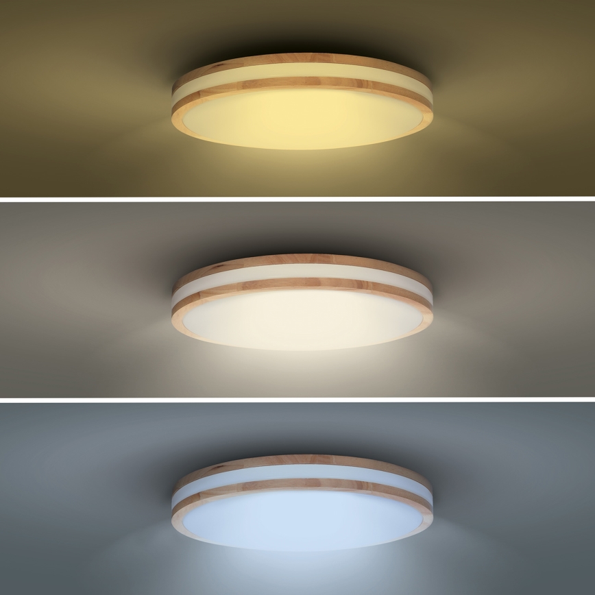 LED Stmievateľné stropné svietidlo WOODY LED/60W/230V 3000-6500K dub pr. 50 cm + diaľkové ovládanie