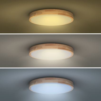 LED Stmievateľné stropné svietidlo SOLID OAK LED/48W/230V 3000-6500K dub pr. 39 cm + diaľkové ovládanie