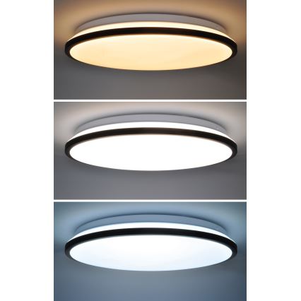 LED Stmievateľné stropné svietidlo JAMIL LED/48W/230V 3000-6500K čierna + diaľkové ovládanie