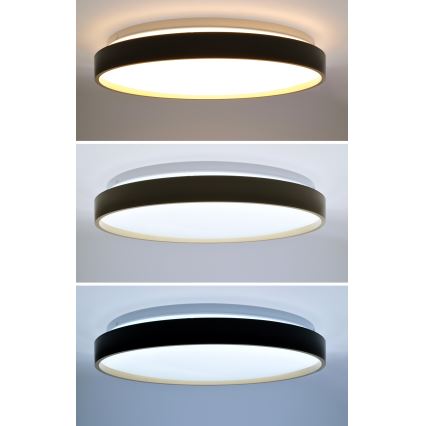 LED Stmievateľné stropné svietidlo CALA LED/48W/230V 3000-6500K čierna/zlatá + diaľkové ovládanie