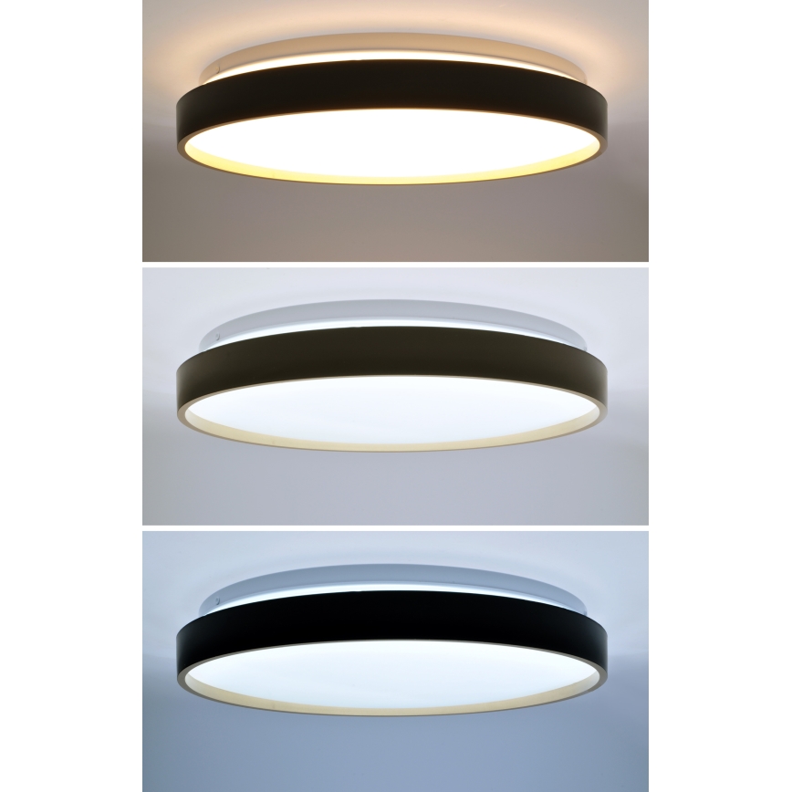 LED Stmievateľné stropné svietidlo CALA LED/48W/230V 3000-6500K čierna/zlatá + diaľkové ovládanie