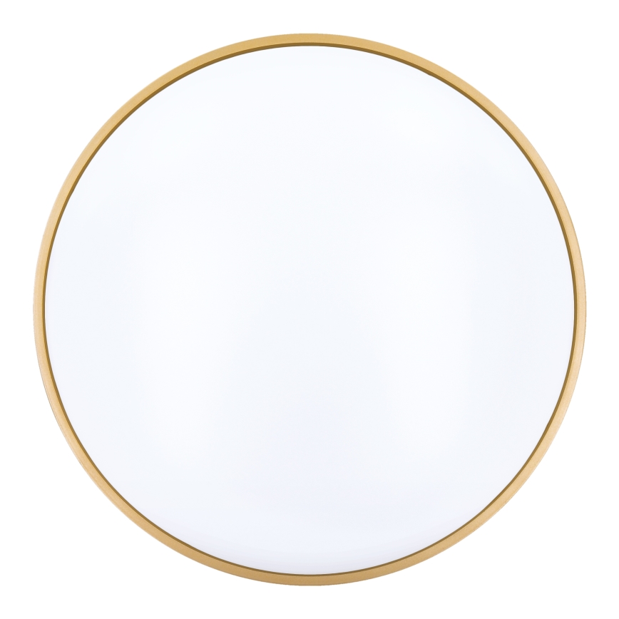 LED Stmievateľné stropné svietidlo CALA LED/48W/230V 3000-6500K čierna/zlatá + diaľkové ovládanie