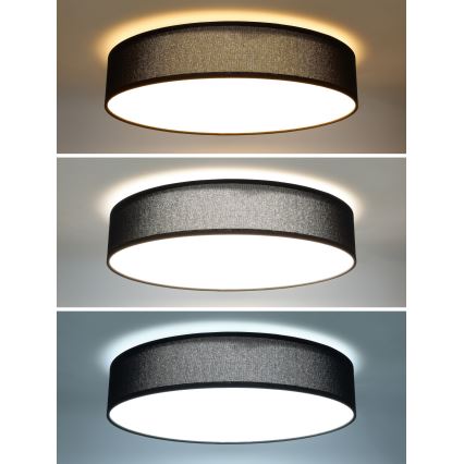LED Stmievateľné stropné svietidlo PENLEY LED/48W/230V 3000-6500K pr.40 cm čierna + diaľkové ovládanie