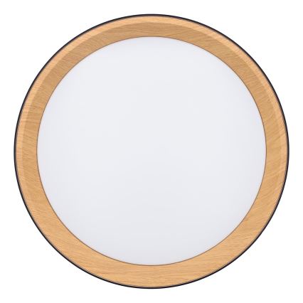 LED Stmievateľné stropné svietidlo LARIOS LED/48W/230V 3000-6500K pr.39 cm čierna + diaľkové ovládanie