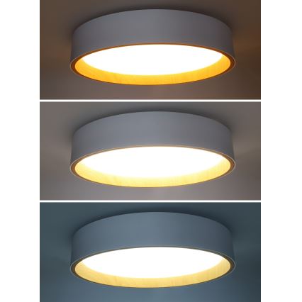 LED Stmievateľné stropné svietidlo LARIOS LED/48W/230V 3000-6500K pr.39 cm bílá+ diaľkové ovládanie