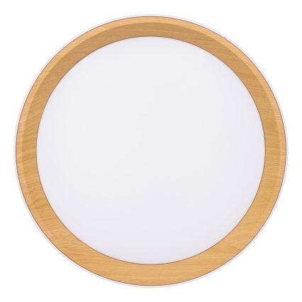 LED Stmievateľné stropné svietidlo LARIOS LED/48W/230V 3000-6500K pr.39 cm bílá+ diaľkové ovládanie