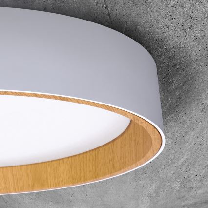 LED Stmievateľné stropné svietidlo LARIOS LED/48W/230V 3000-6500K pr.39 cm bílá+ diaľkové ovládanie