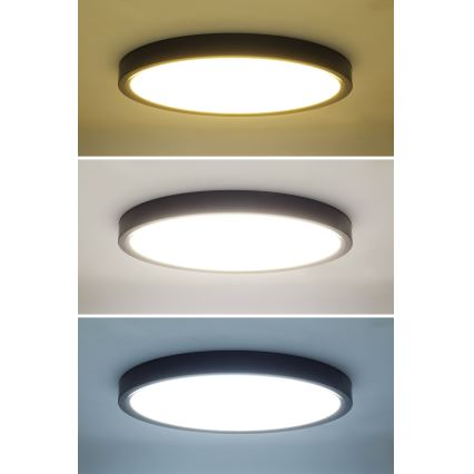 LED Stmievateľné stropné svietidlo ESTELA LED/36W/230V pr.30 cm čierna + diaľkové ovládanie
