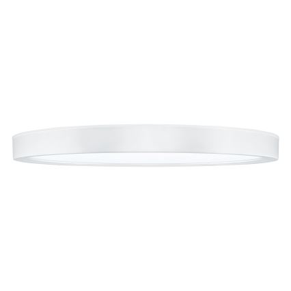 LED Stmievateľné stropné svietidlo ESTELA LED/36W/230V pr.30 cm biela + diaľkové ovládanie