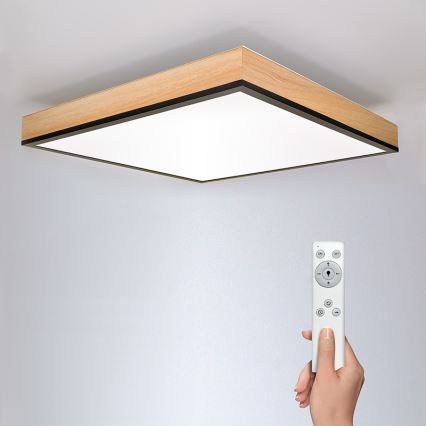 LED Stmievateľné stropné svietidlo LED/40W/230V 3000-6500K + diaľkové ovládanie