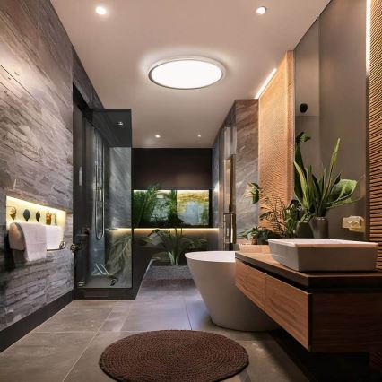 LED Kúpeľňové stropné svietidlo ACATE LED/24W/230V 3000/4000/6000K pr. 29,3 cm IP54