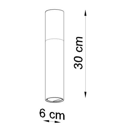 Stropné svietidlo PABLO 1xGU10/40W/230V biela/buk