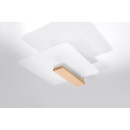 Stropné svietidlo LAPPO 2xE27/15W/230V béžové