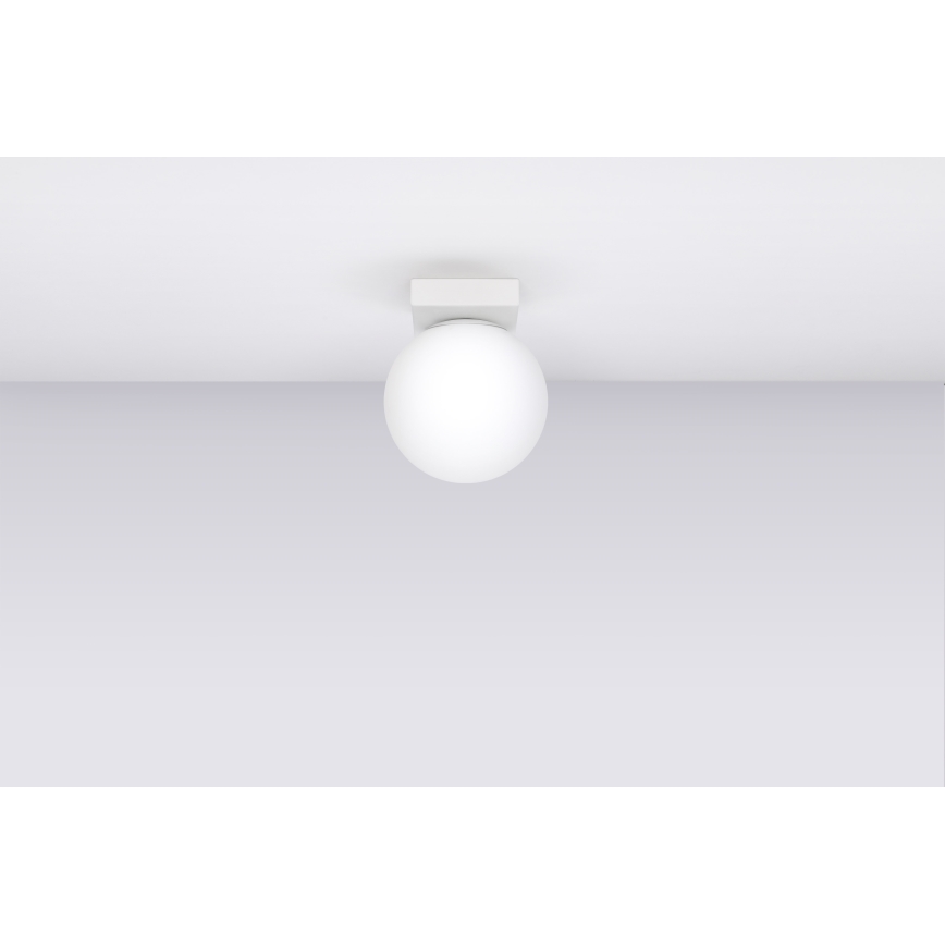 Stropné svietidlo YOLI 1xG9/12W/230V biela