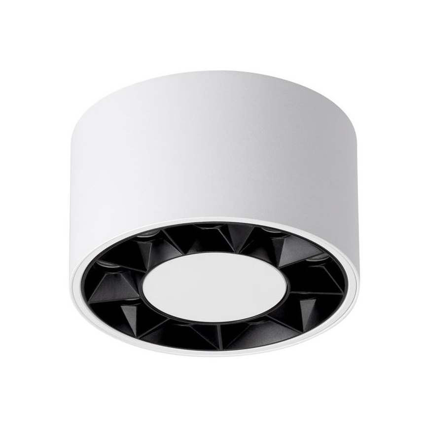 LED Bodové svietidlo DIO LED/10W/230V biela